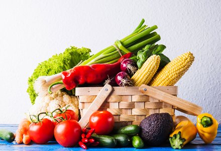 Wellness and Nutrition at Holistic Healthy Hub
